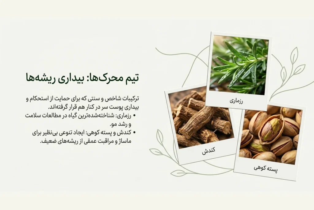 روغن تقویت ریشه مو با رزماری و کندش و بنه