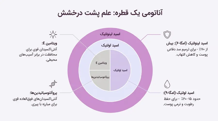 ترکیبات و ویتامین های روغن هسته انگور