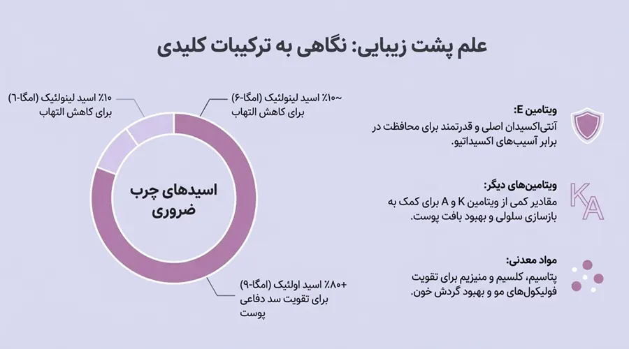 بررسی ترکیبات روغن فندق شامل ویتامین ها و مواد معدنی