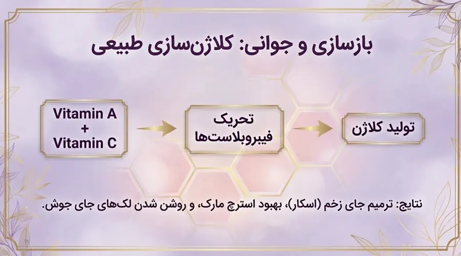 روغن خرگوشک برای کلاژن سازی و ترمیم جای زخم و لک و جوش