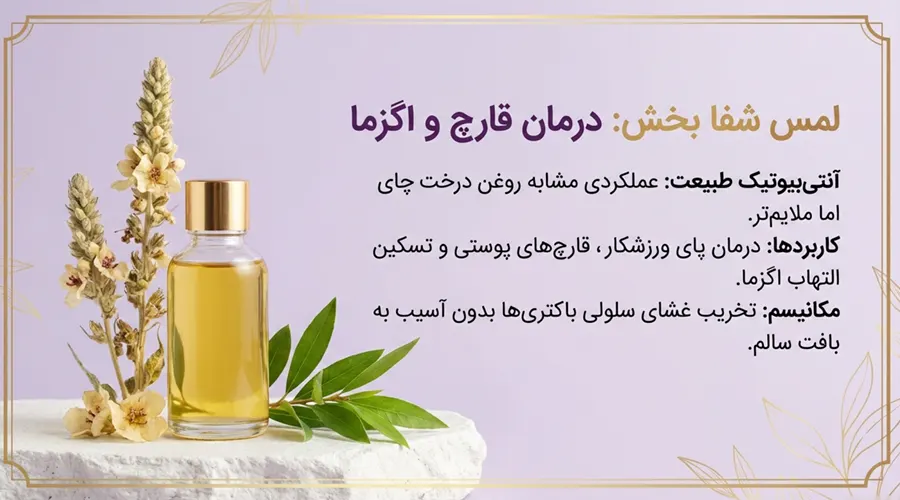 فواید روغن خرگوشک برای درمان قارچ و اگزما