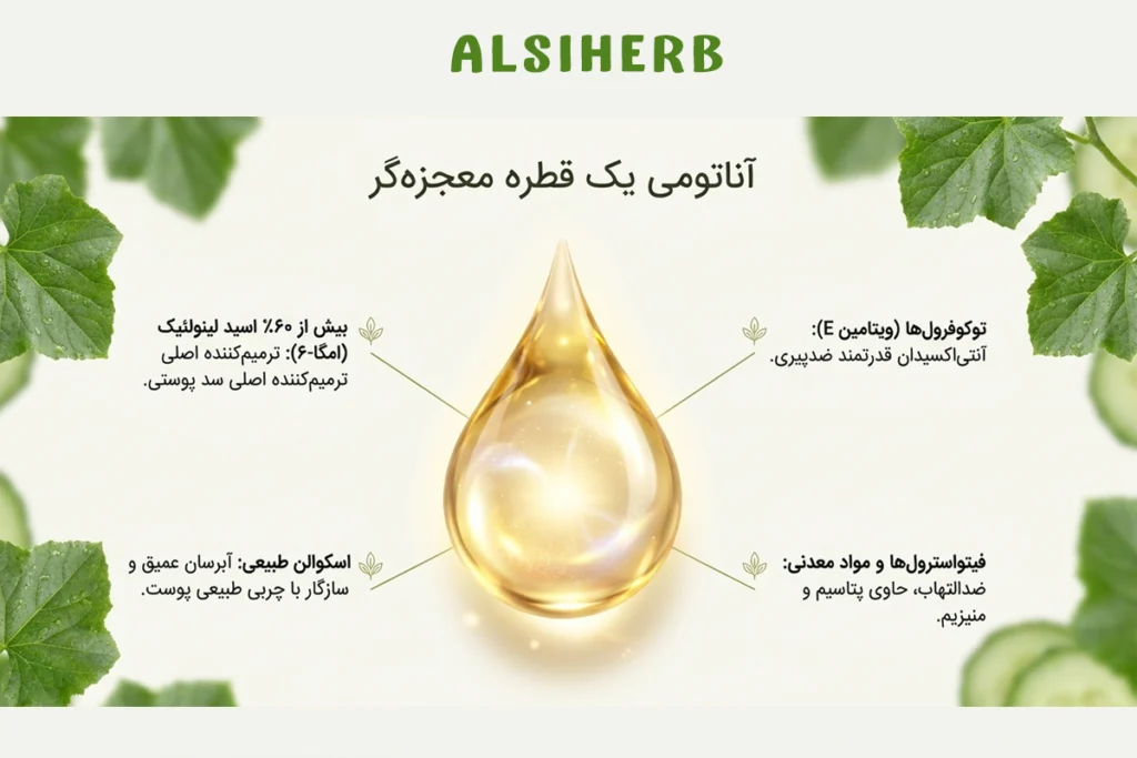 ترکیبات روغن بذر خیار شامل ویتامین ها و آنتی اکسیدان ها و اسیدهای چرب