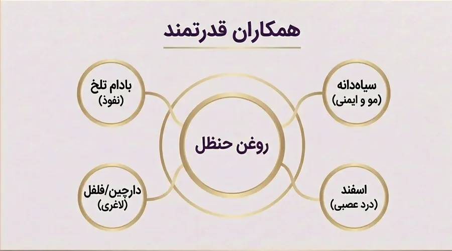 روغن حنظل اصل • بهمن ۲۶ام, ۱۴۰۴ روغن های مکمل روغن حنظل