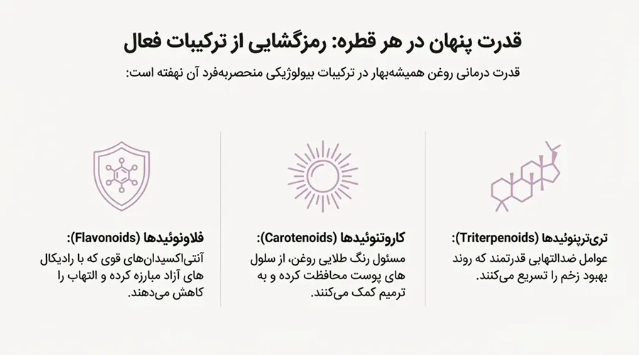 ترکیبات روغن همیشه بهار