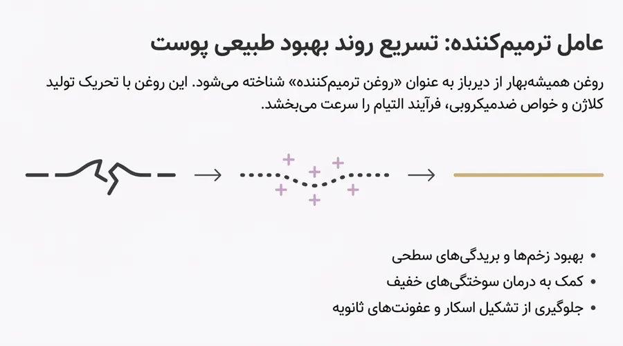 روغن همیشه‌بهار برای ترمیم پوست آسیب‌دیده