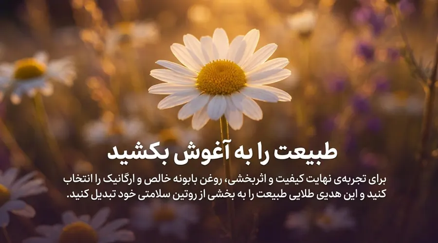 قیمت روغن بابونه آلسی هرب