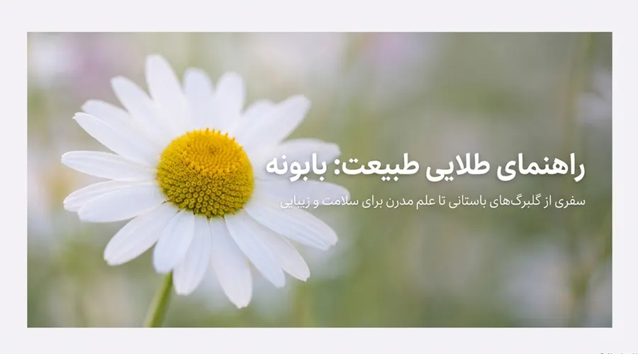 خرید روغن بابونه خالص آلسی هرب با کیفیت ارگانیک