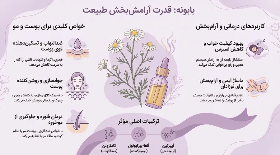  روغن بابونه برای چی خوبه؟ در این اینفوگرافیک بخوانید