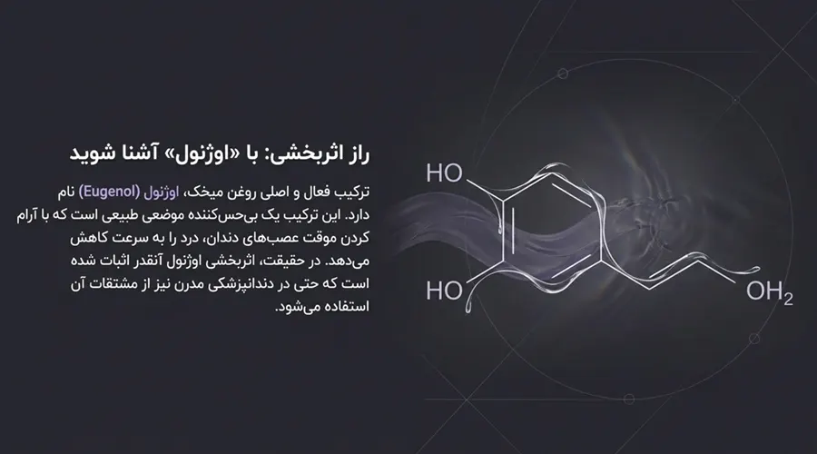 خرید روغن میخک اصل و خالص از آلسی هرب