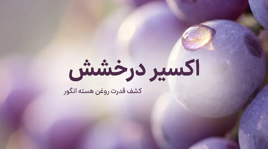 خرید روغن هسته انگور اصل و با کیفیت آلسی هرب