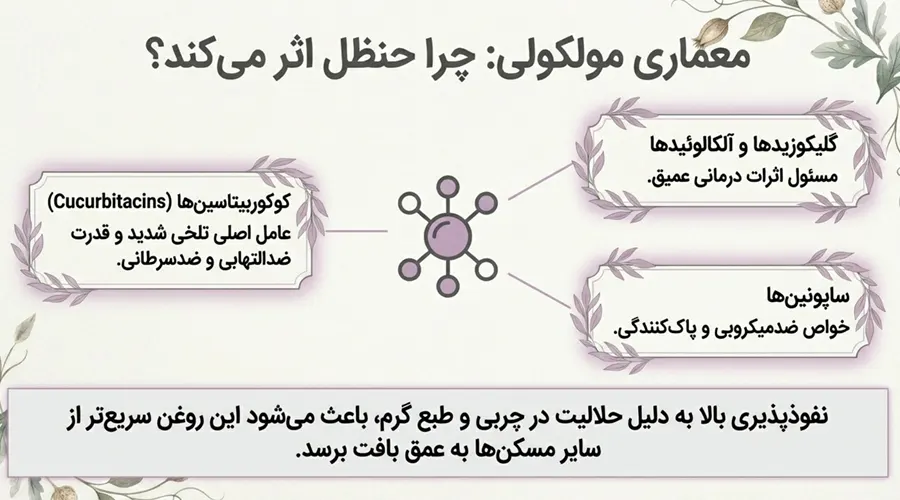 روغن حنظل اصل • بهمن ۲۶ام, ۱۴۰۴ ترکیبات روغن حنظل