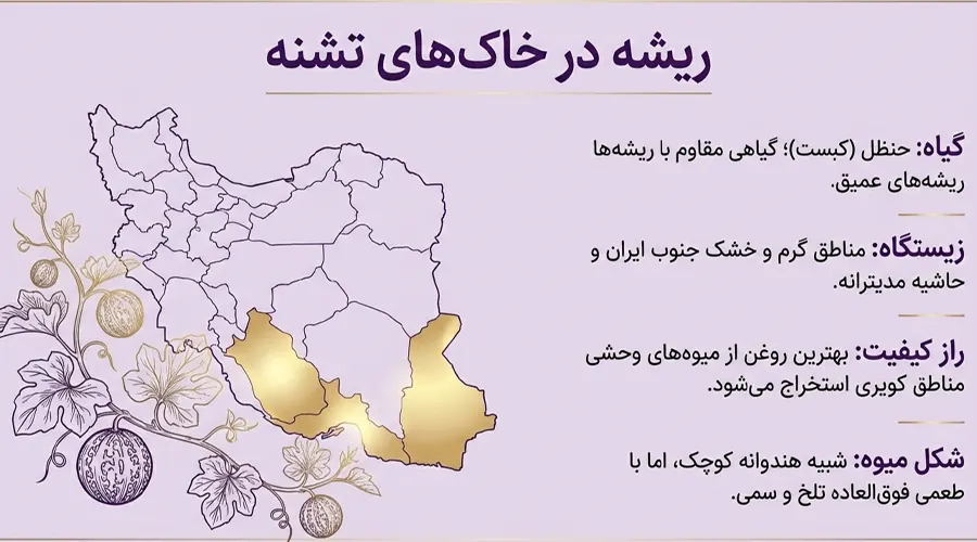 روغن حنظل اصل • بهمن ۲۶ام, ۱۴۰۴ خواستگاه گیاه حنظل یا هندوانه ابوجهل