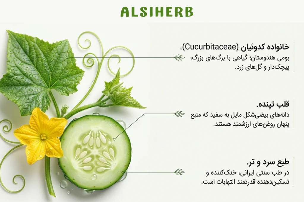 روغن بذر خیار آلسی هرب برای مراقبت از پوست و مو