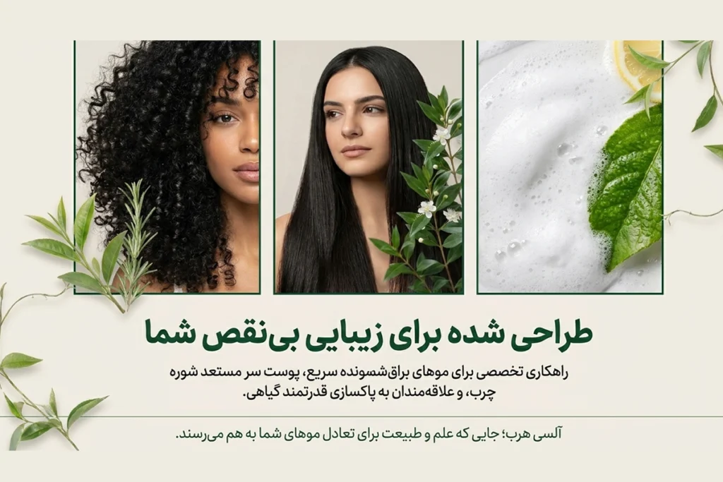 شامپو آلسی هرب برای پاکسازی منافذ و سبوم تجمع‌یافته پوست سر
