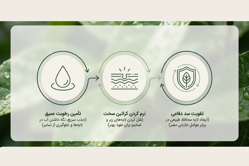 نحوه عملکرد کرم رفع ترک دست و پا آلسی هرب در از بین بردن خشکی شدید و ترک