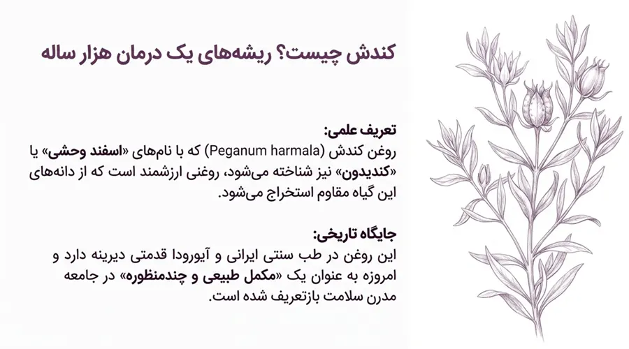 روغن کندش اصل • بهمن ۲۶ام, ۱۴۰۴ خرید روغن کندش