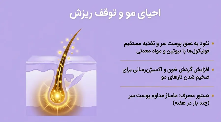 روغن زرده تخم مرغ برای ریزش مو