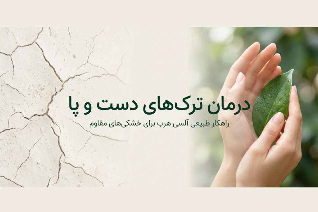 راهنمای خرید کرم ترک دست و پا آلسی هرب برای پوست خشک