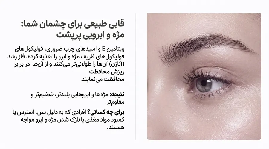 بررسی فایده روغن فندق برای مژه و ابرو