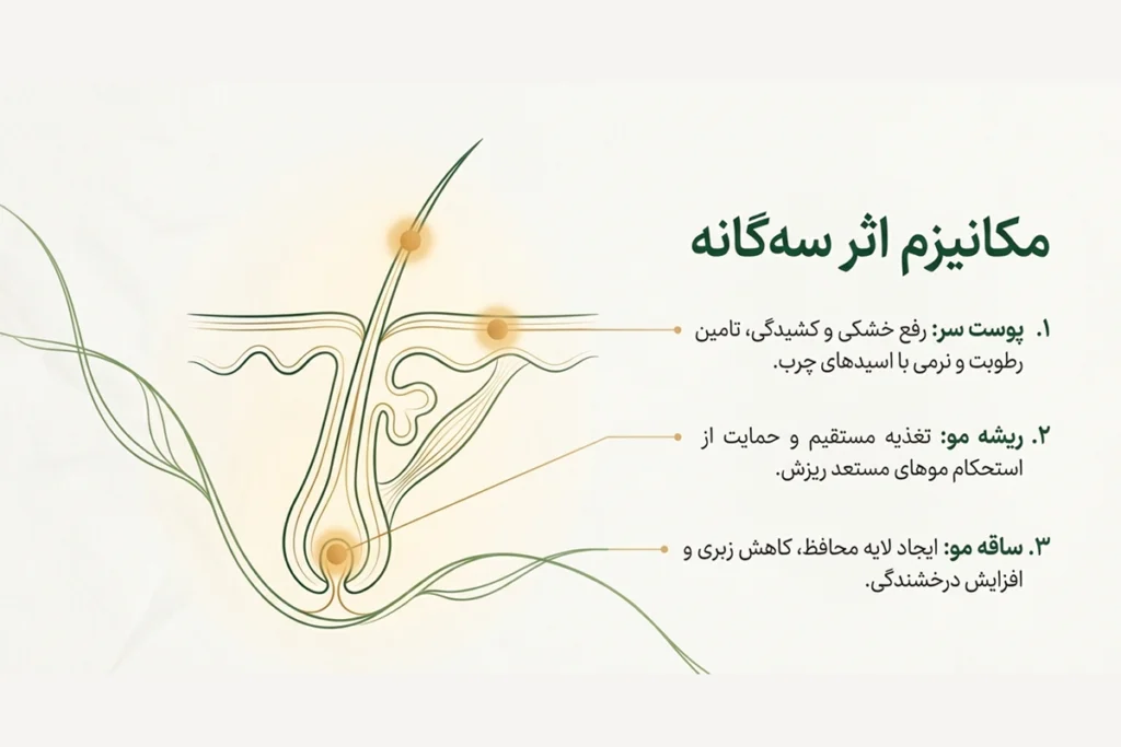 روغن گیاهی مراقبت از ریشه و پوست سر