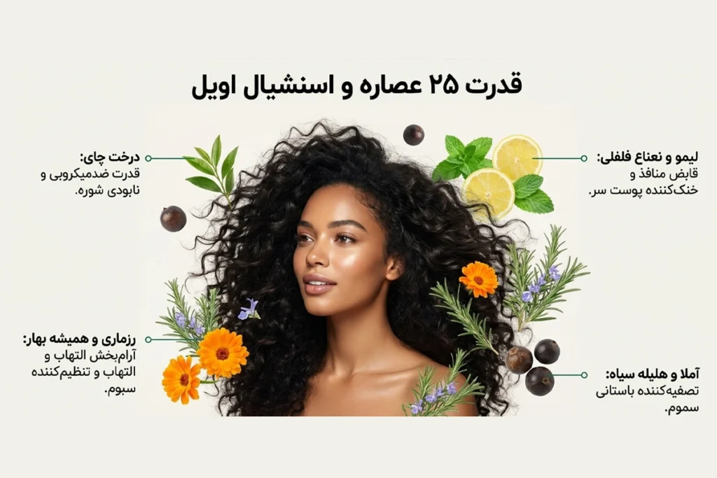 شامپو موهای چرب آلسی هرب با عصاره ۲۵ گیاه و اسنشیال اویل