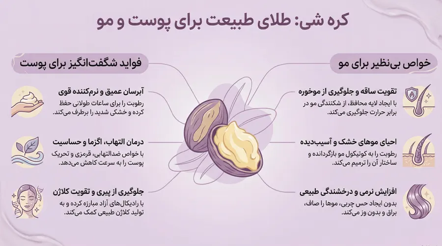  شی باتر چیست