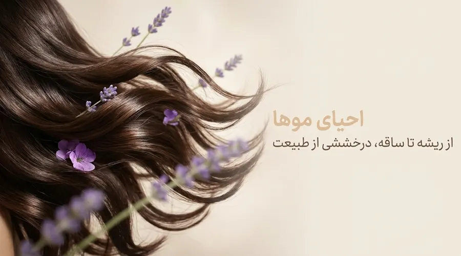 روغن اسطوخودوس برای مو