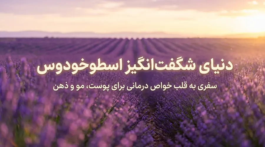 خرید روغن اسطوخودوس خالص مناسب پوست و مو