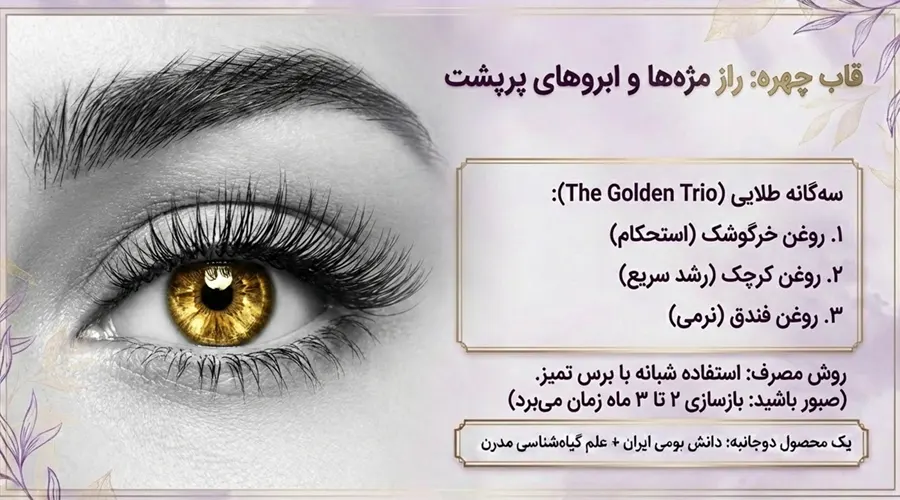 فواید روغن خگوشک برای مژه و ابرو