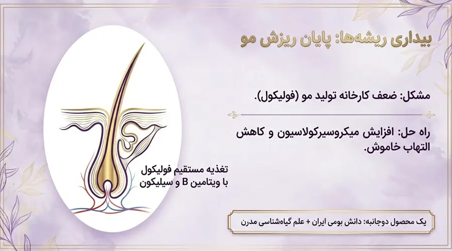 روغن خرگوشک برای ریزش مو