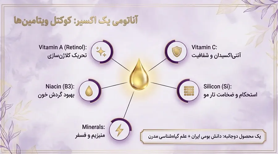 ویتامین ها و ترکیبات مفید خرگوشک