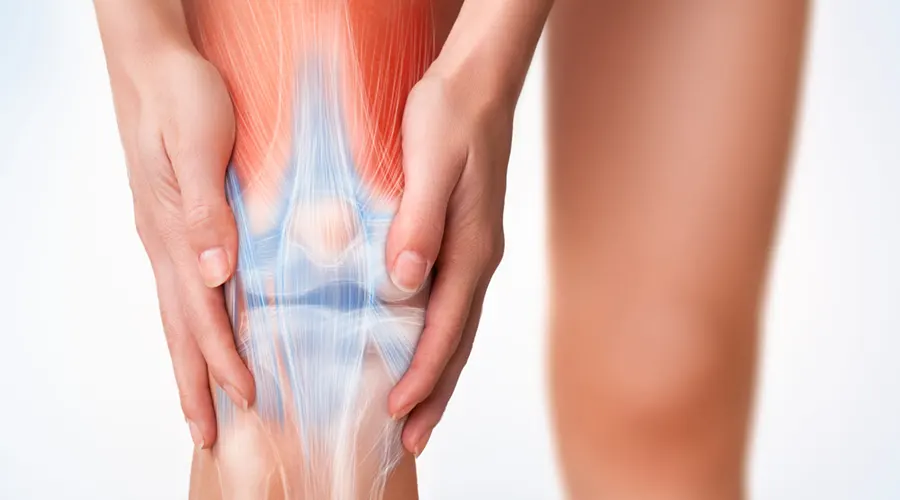 روغن ضد درد مفاصل • آبان ۲۵ام, ۱۴۰۴ خواص روغن گیاهی برای تسکین درد مفاصل