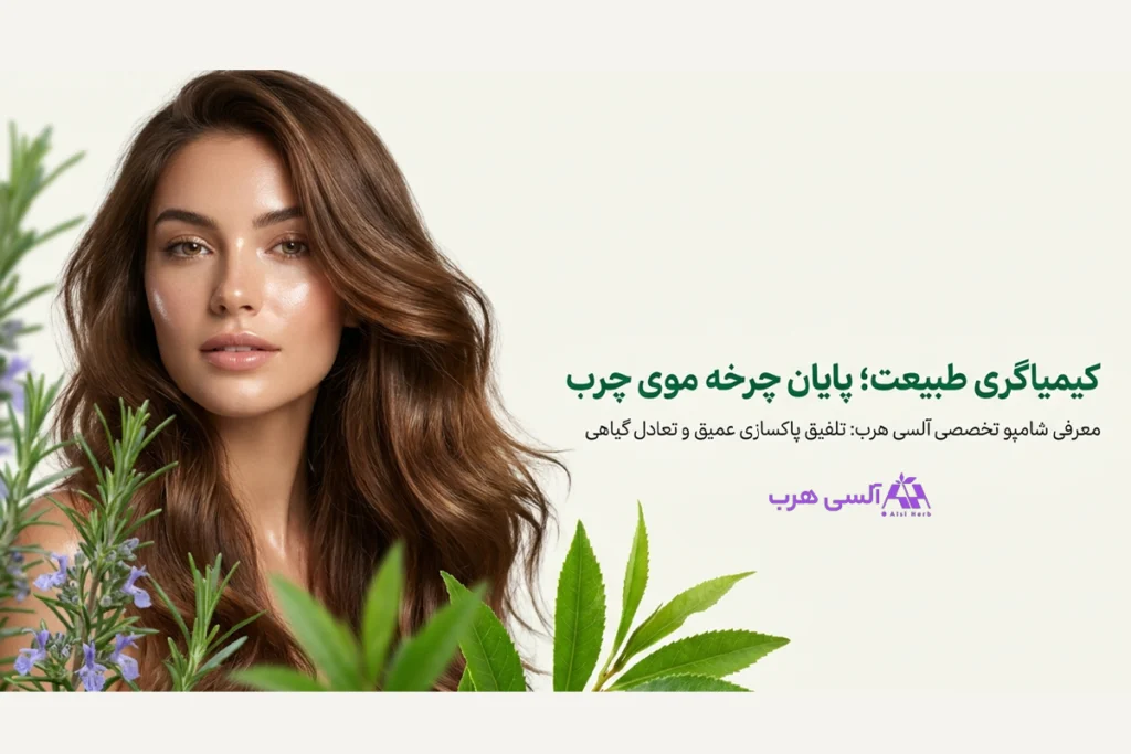 معرفی شامپو تخصصی مو چرب آلسی هرب