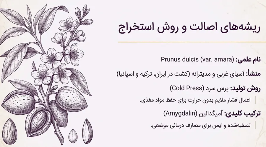 منشا و خاستگاه بادام تلخ و روش استخراج روغن بادام تلخ