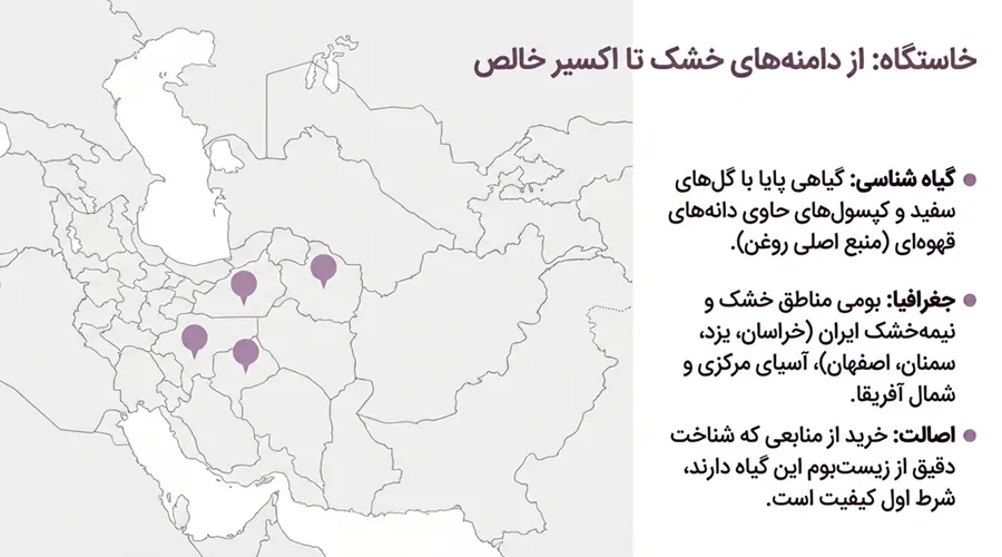 روغن کندش اصل • بهمن ۲۶ام, ۱۴۰۴ خاستگاه گیاه کندش در ایران