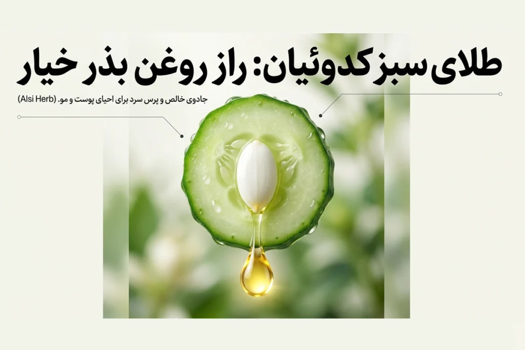روغن بذر خیار خالص و خواص آن