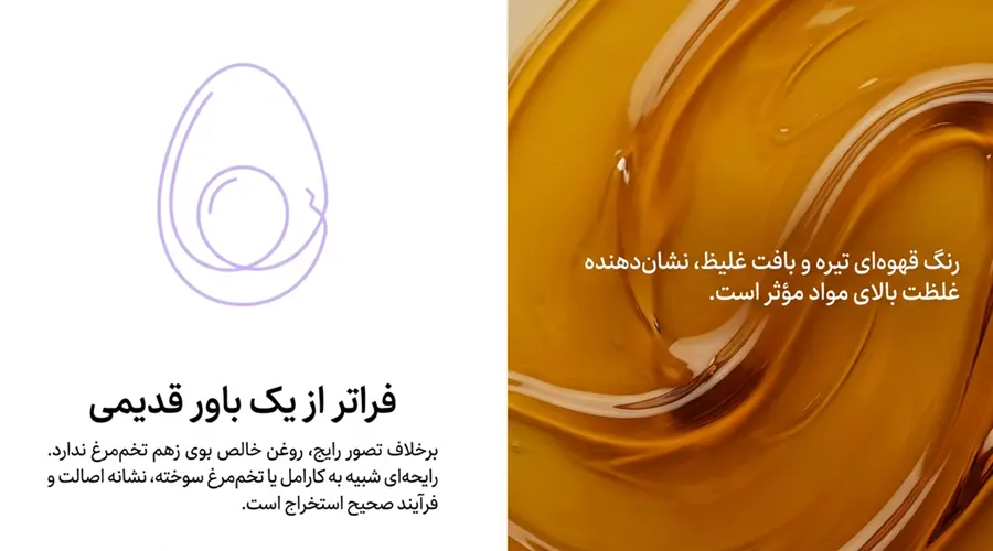 پیشینه روغن زرده تخم مرغ در طب سنتی