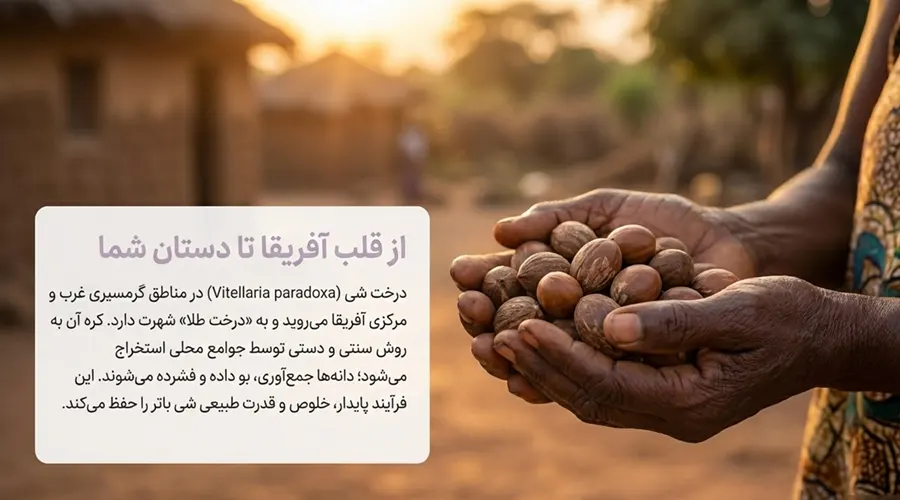 شی باتر آلسی هرب با منبع آفریقایی اصل