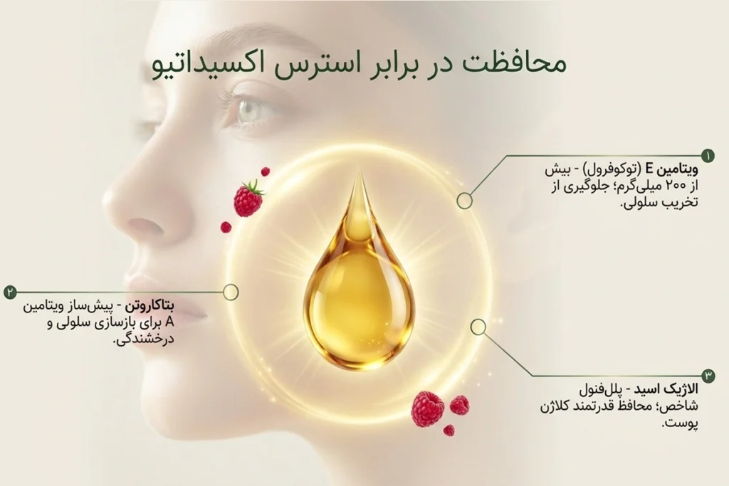 روغن تمشک اصل • مهر ۱۷ام, ۱۴۰۵ نقش ویتامین های روغن تمشک در حفظ کلاژن پوست و درخشندگی آن