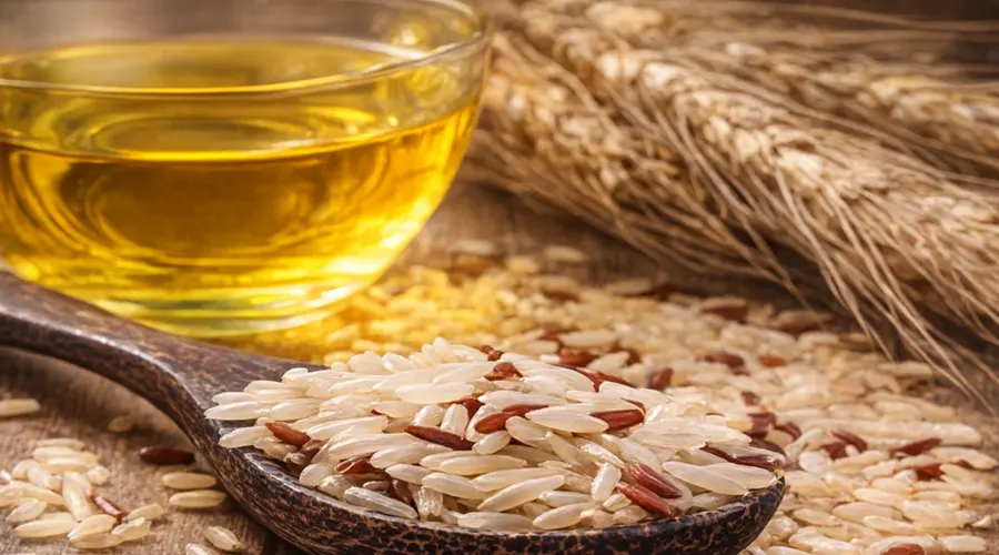 خرید روغن سبوس برنج اصل و با کیفیت