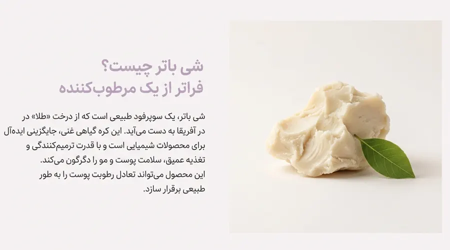 راهنمای خرید شی باتر آلسی هرب