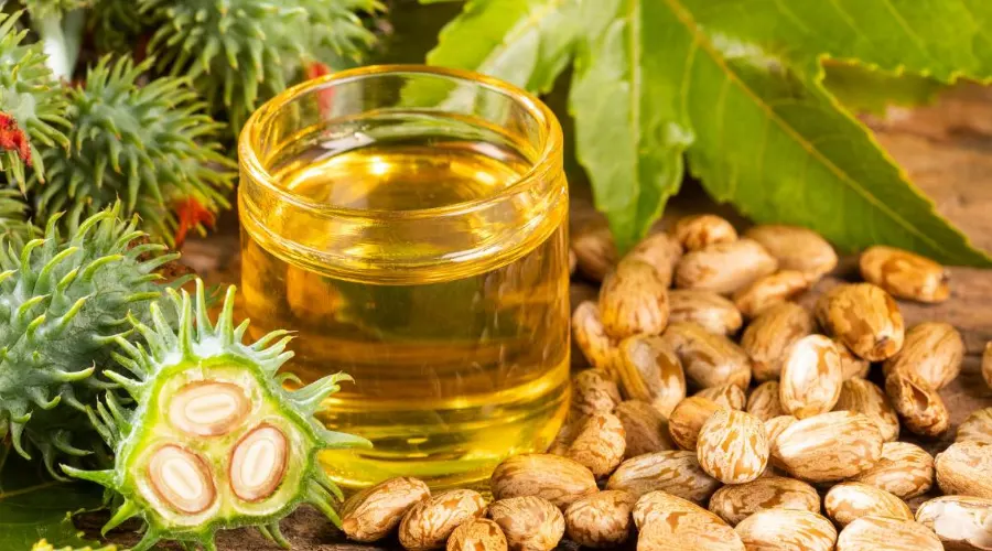 روغن کرچک طبیعی برای درمان یبوست