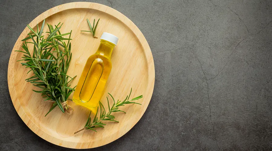 تاثیر روغن رزماری در کاهش چربی مو و پوست سر