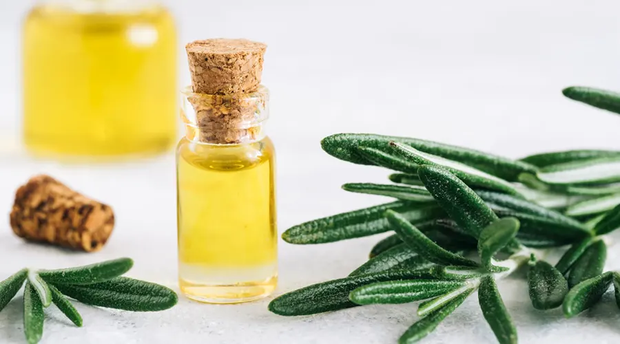 پاکسازی عمقی پوست سر با روغن رزماری خالص