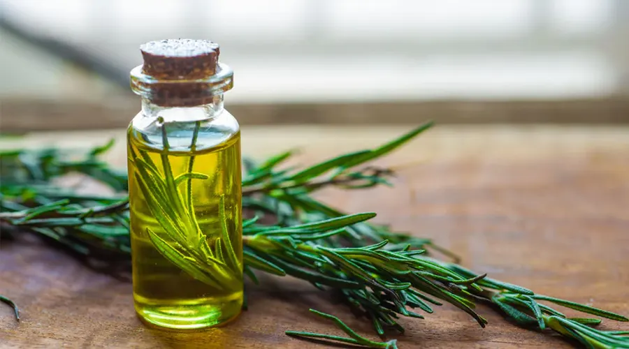 روغن رزماری برای تنظیم غدد چربی پوست سر