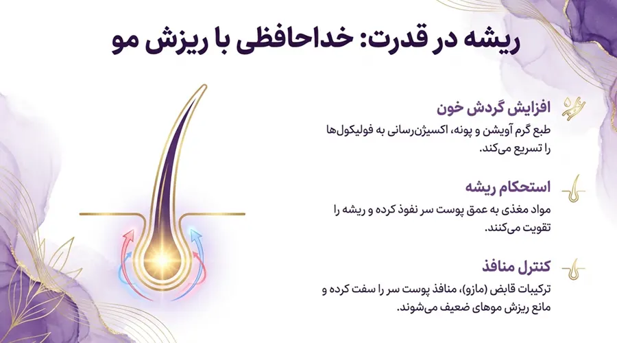 روغن ماریانا برای ریزش مو