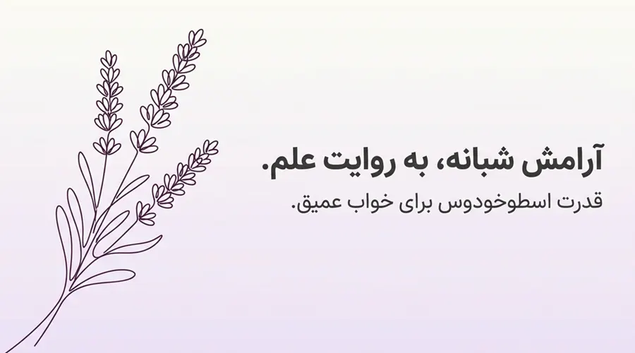 روغن اسطوخودوس یک آرام‌بخش طبیعی برای خواب بهتر