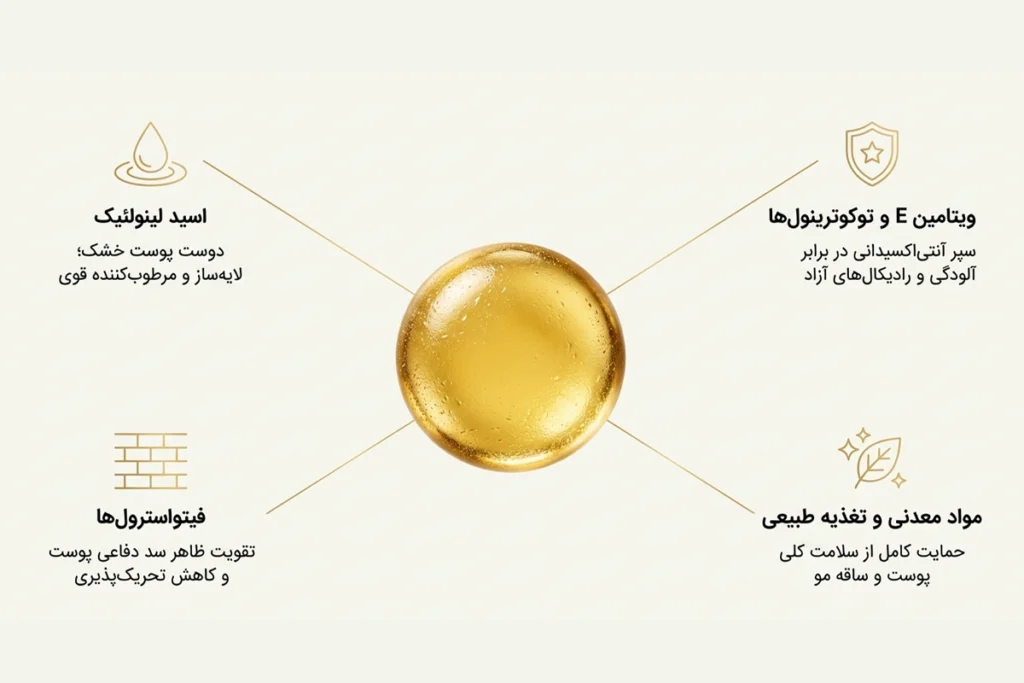 روغن جو اصل • مهر ۱۷ام, ۱۴۰۵ ترکیبات روغن جو از جمله اسیدهای چرب، ویتامین ها و مواد معدنی که در مفید بودن برای پوست و مو موثر هستند