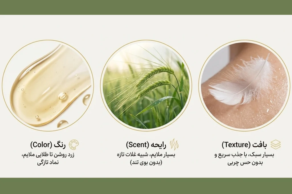 روغن جو اصل • مهر ۱۷ام, ۱۴۰۵ ویژگی های روغن جو خالص و اصل آلسی هرب