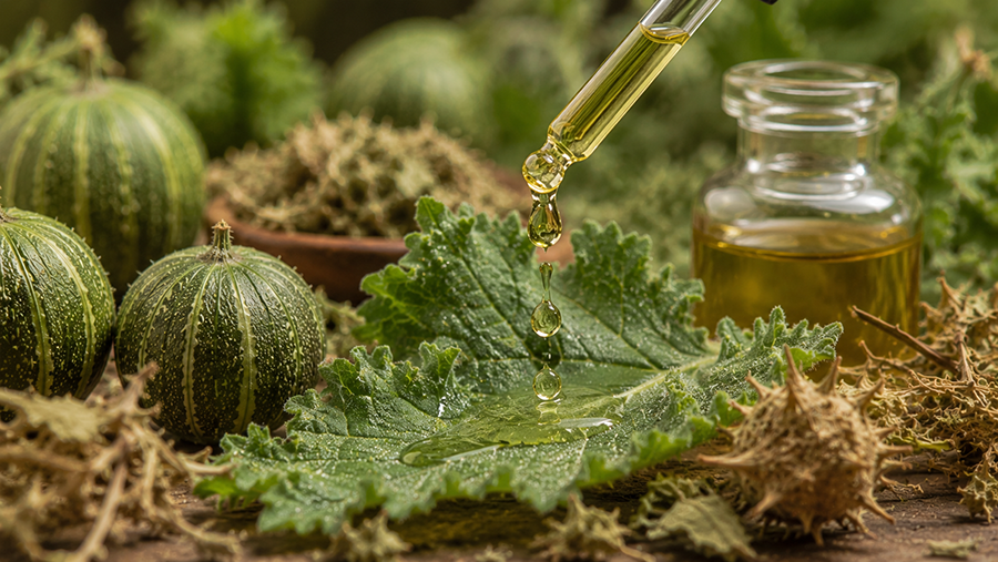 موارد استفاده از روغن حنظل